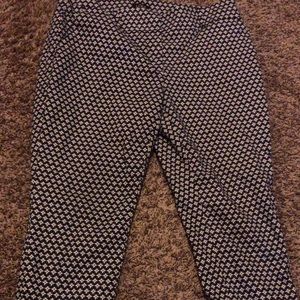 Ann Taylor loft dress pants